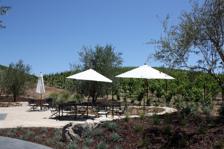 IMG_0403 Booker Vineyard