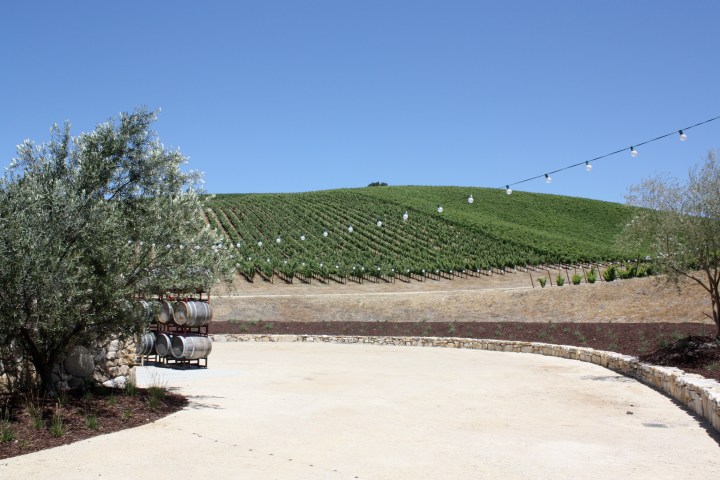 IMG_0405 Booker Vineyard