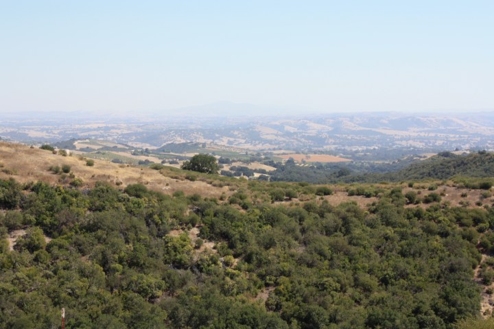 The glorious view at Calcareous Vineyard...