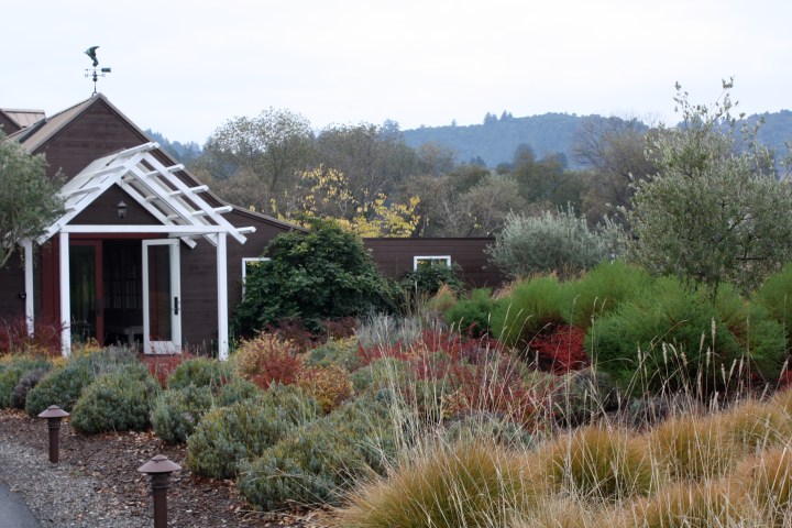 IMG_1480 Truett-Hurst Winery