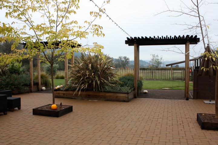 IMG_1484 Truett-Hurst Winery - Outdoor Tasting Area