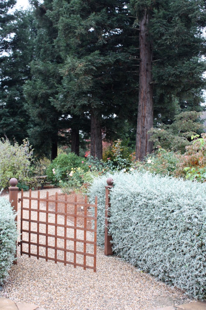 IMG_1511 Beautiful gardens at VML Winery