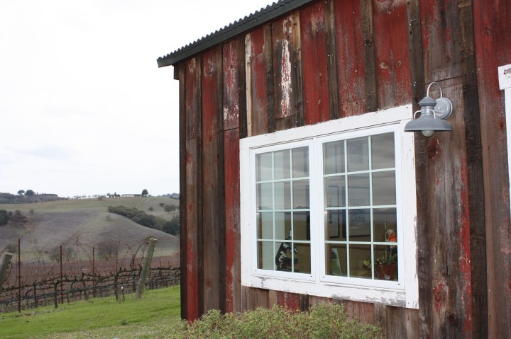 Terry Hoage Vineyards Tasting Room