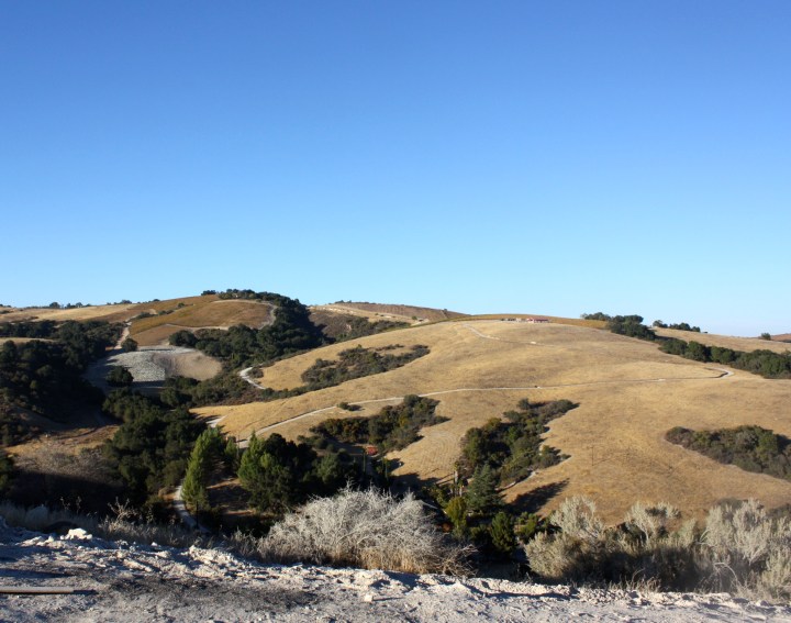 Beautiful late afternoon views at Law Estate Wines