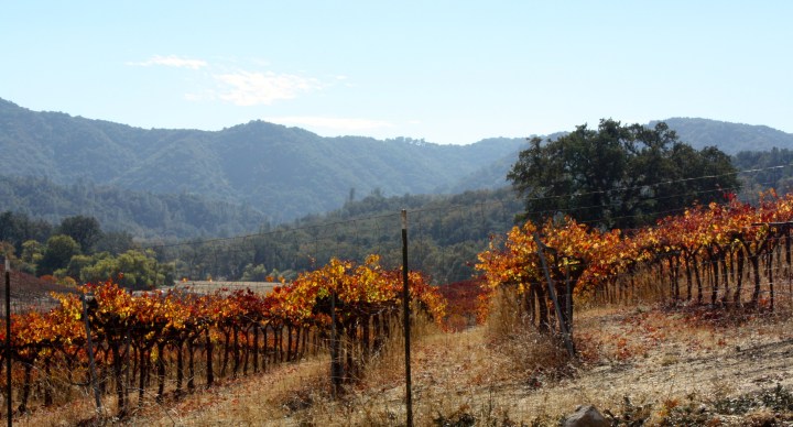 Gorgeous day in Paso Robles