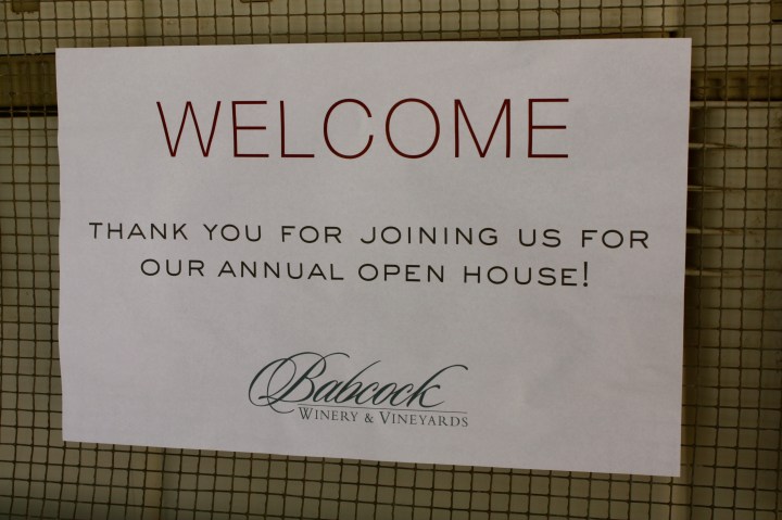 Annual open house at Babcock Winery & Vineyards
