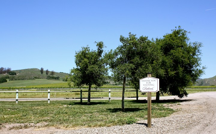 Beautiful outdoor area at Babcock Winery & Vineyards