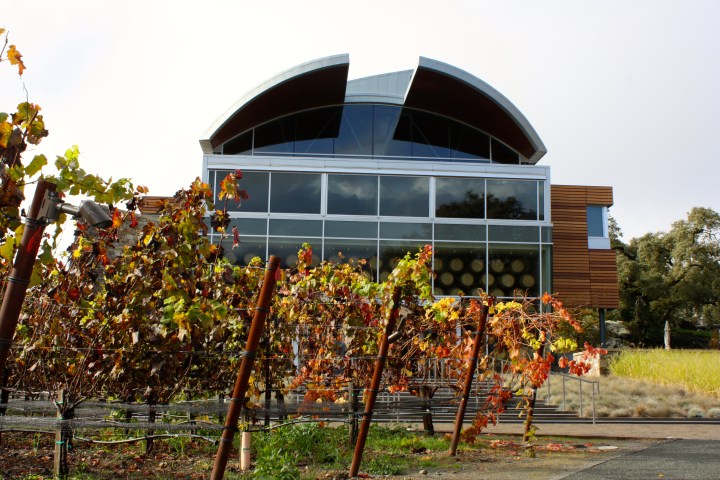 The stunning Williams Selyem Winery