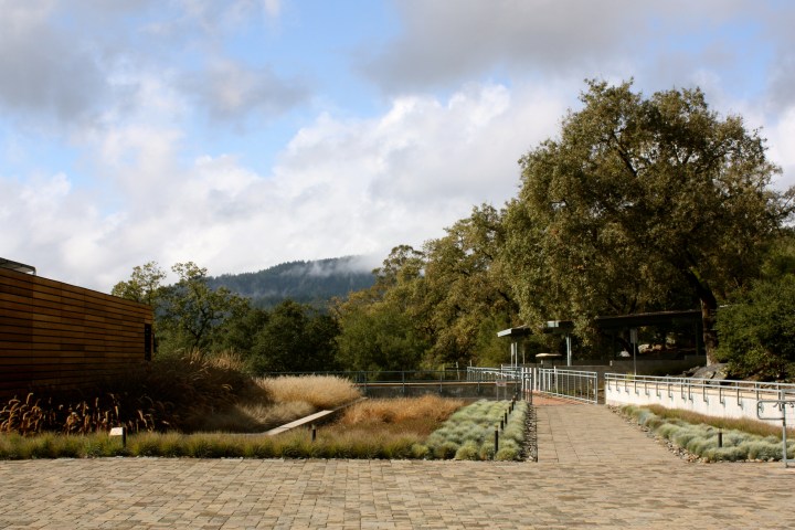 Williams Selyem Winery