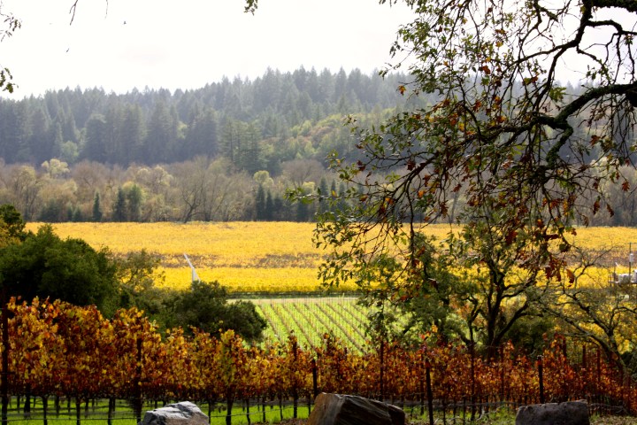 Million dollar views all around...