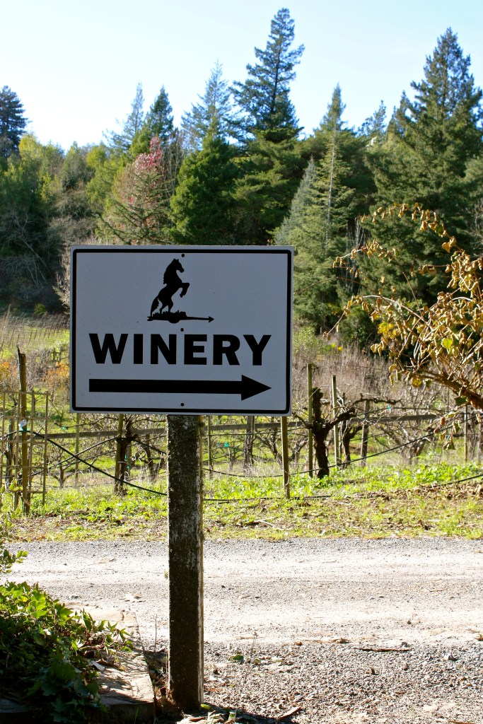 Iron Horse Vineyards