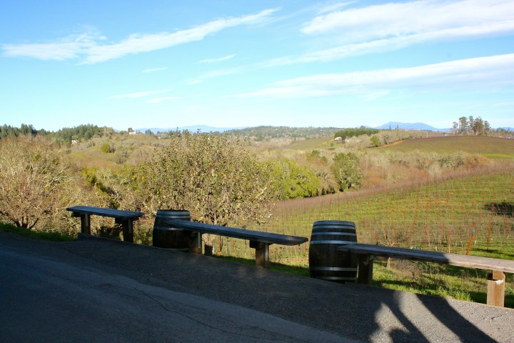 The gorgeous view from Iron Horse Vineyards