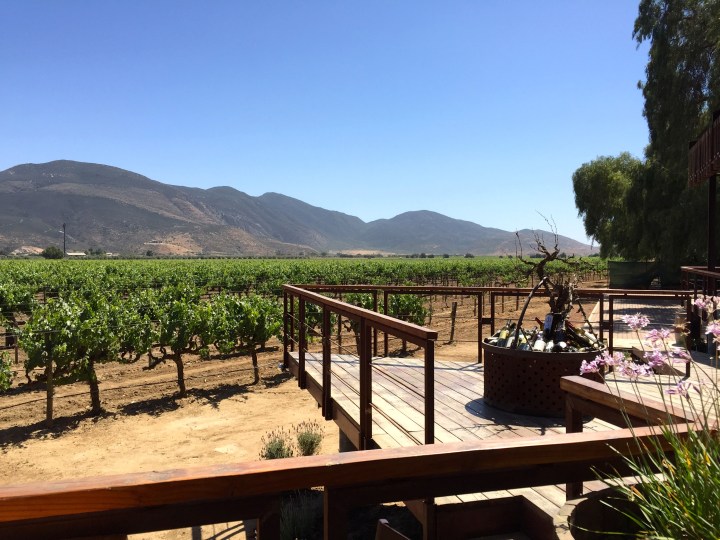 La Esperanza Baja Med Cocina