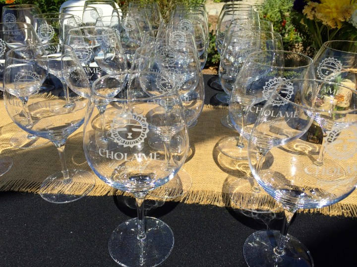 Cholame Vineyard