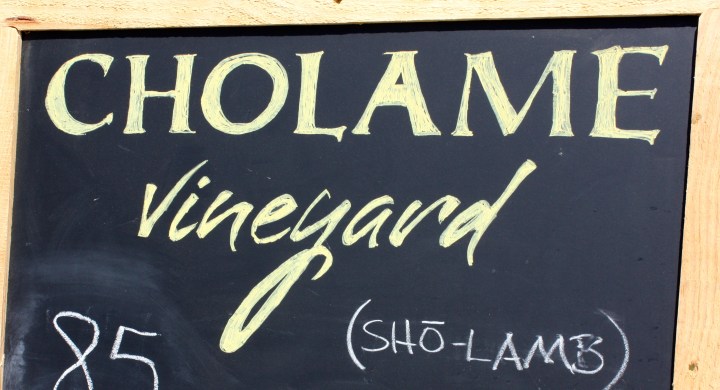 Cholame Vineyard
