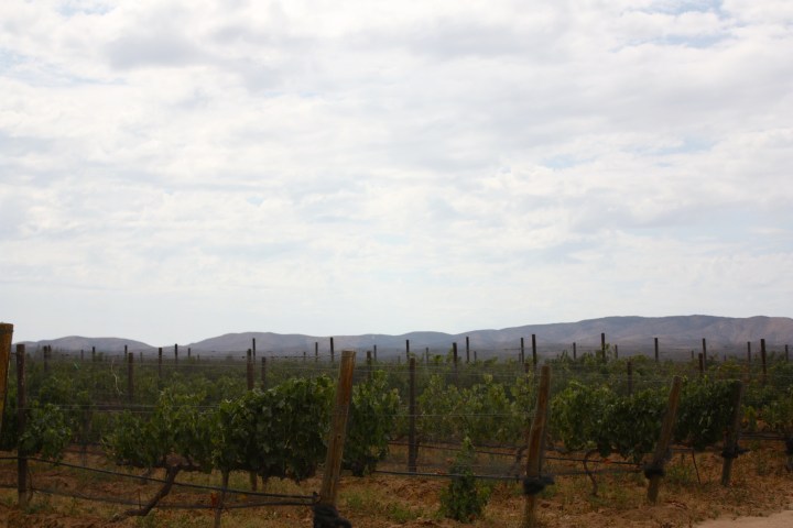 The view from Deckman's en El Mogor