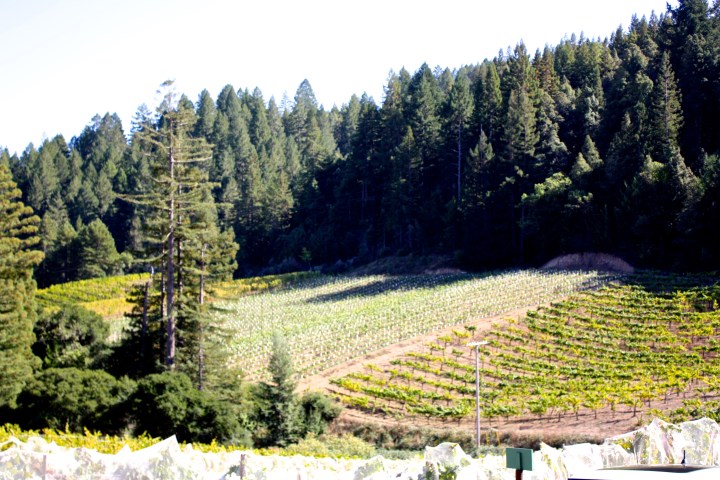 © Wine-ding Road 2016